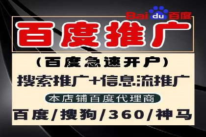 百度推广的秘诀：以某电商平台的成功经验为例